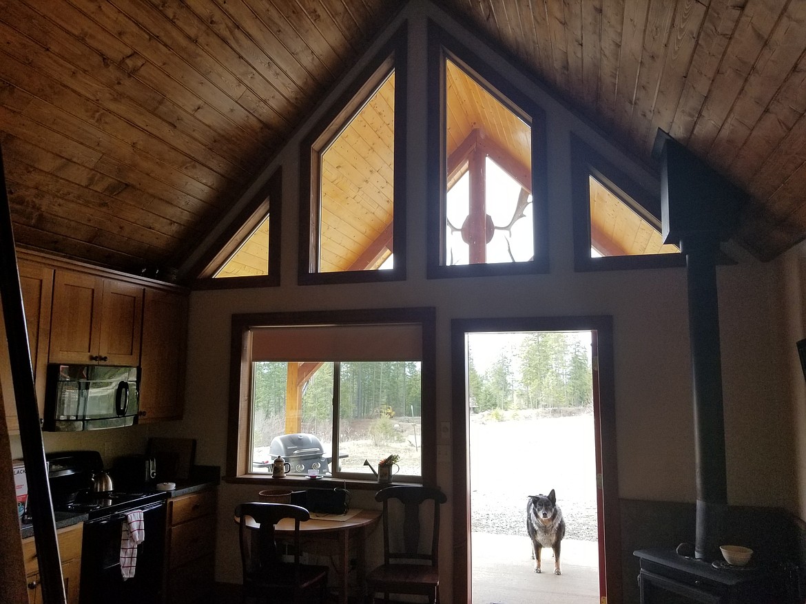 PAH Construction does remodels, cabins and work from the ground up, with the &#147;paw supervision.&#148;

Courtesy photo