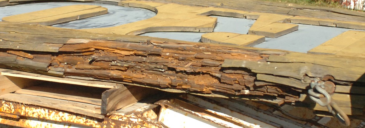 Pictured is a rotted log that bordered the Ronan sign that was removed for renovation.