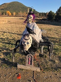 THIS SCARY spider and its partner made by Marie Lewis won second place out of 13 entries for the annual St. Regis Scarecrow Contest.  (Photo courtesy of Barbara Gillott)