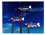 Moving fish, birds to adorn roundabouts