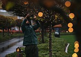 Work for holiday light show already is well under way