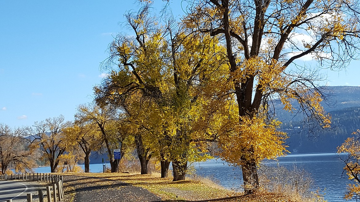 Visitors can enjoy the natural beauty along Coeur d&#146;Alene Lake Drive. Living just above the road will cost you a pretty penny.