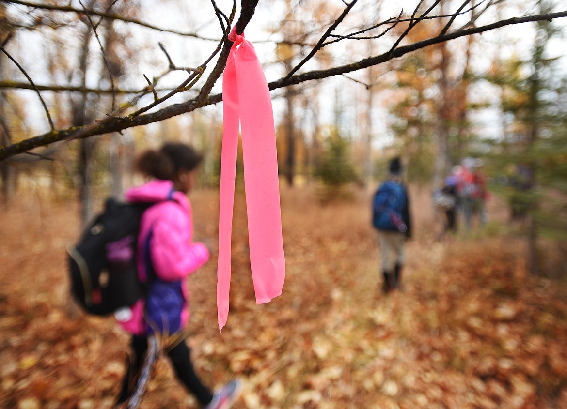 Kalispell Montessori students pass near a bright orange flag marking the train in the Owen Sowerwine Natural Area on Thursday, October 25.(Brenda Ahearn/Daily Inter Lake)