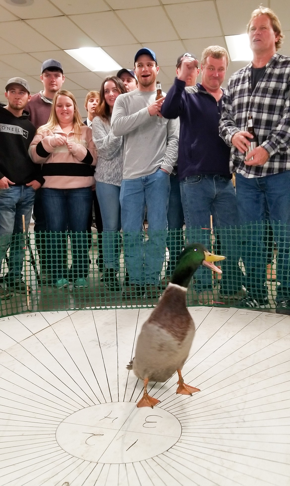 Photo by MANDI BATEMAN
Waiting for a duck to poop... always an exciting game at the Ducks Unlimited dinner and auction.