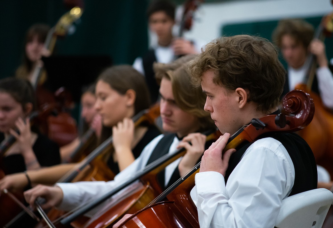 Members of the Whitefish High School orchestra perform during a Veterans Day assembly last Friday.