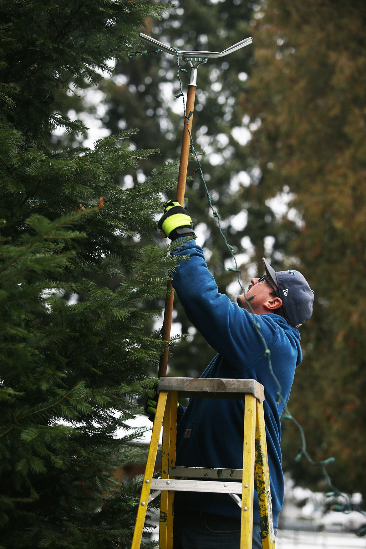 Cassidy McCoy with the city of Hayden helps string lights around the Christmas tree in the McIntire Park on Monday.