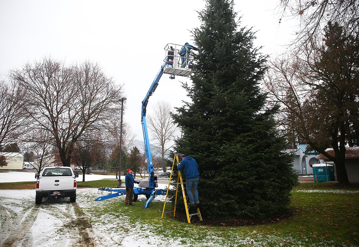 Employees for the City of Hayden string lights around a Christmas Tree in McIntire Park in preparation for the city's annual Hayden Lights Parade &amp; Christmas Tree Lighting Ceremony on Saturday. (LOREN BENOIT/Press)