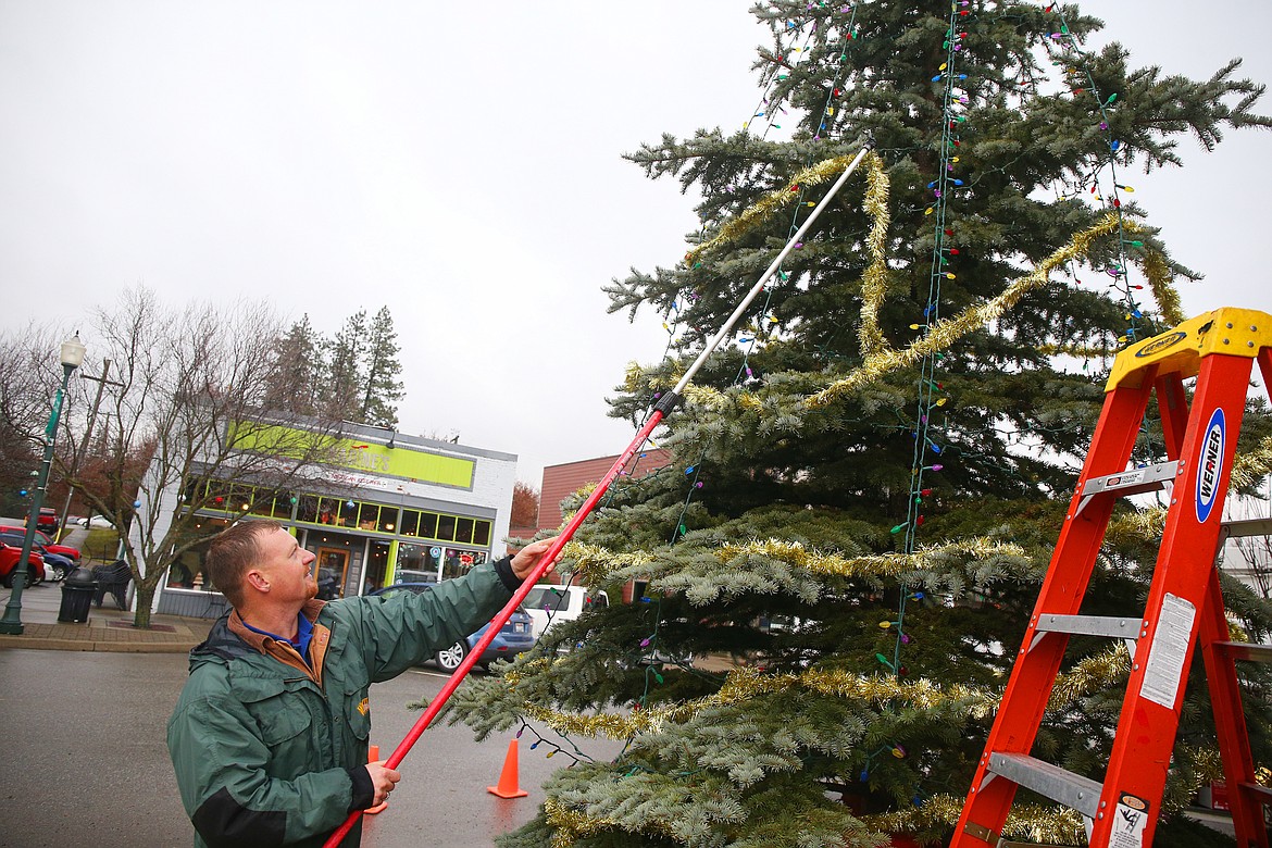 Justin Fyfe with the City of Rathdrum strings thistle around the city's Christmas tree Wednesday morning. (LOREN BENOIT/Press)