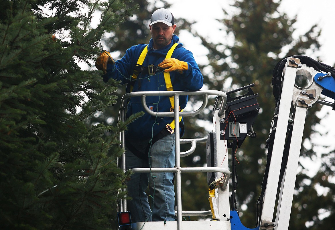 Bill Davis with the City of Hayden wraps lights around a Christmas Tree in McIntire Park on Monday in preparation for the city's annual Hayden Lights Parade &amp;Christmas Tree Lighting Ceremony on Dec 1. (LOREN BENOIT/Press)