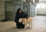 More 'woof' under one roof