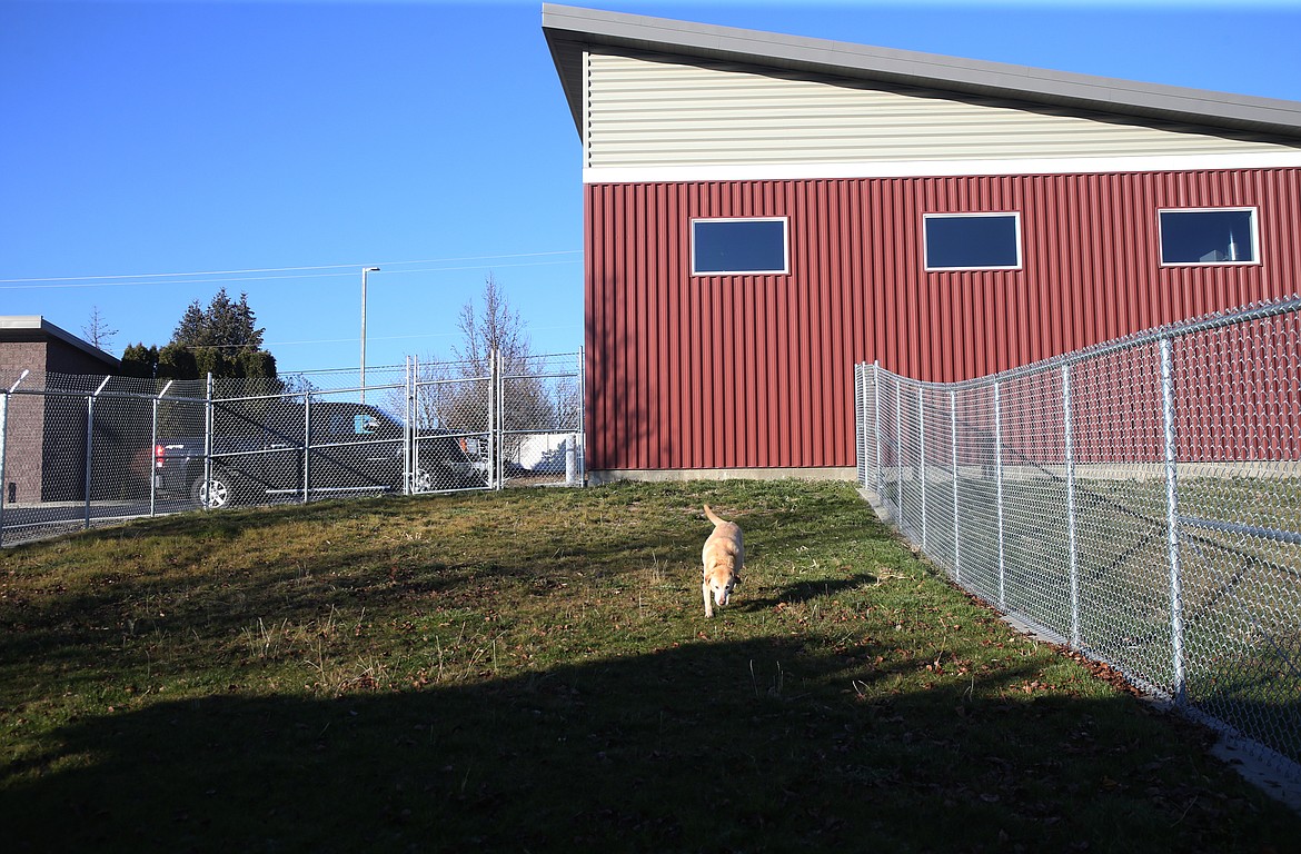 The new shelter, which cost $558,448, offers more office space, an intake area to clean dogs and an outdoor space. (LOREN BENOIT/Press)