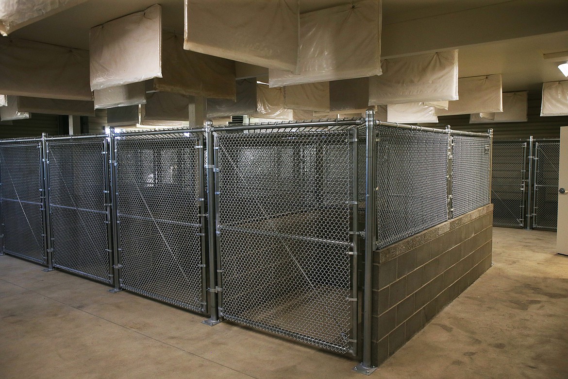 There are 35 indoor kennels at the new Post Falls animal shelter compared to 48 at the former one and frees up space at the Post Falls police station. The shelter keeps dogs for at least three working days before they&#146;re considered for adoption. (LOREN BENOIT/Press)