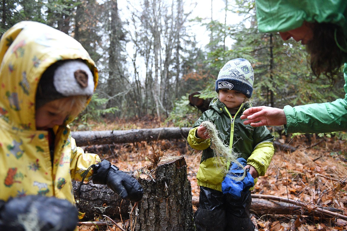 Teacher-assistant Amy Kortko shows the students witch&#146;s hair lichen during a hike at Foxtail Forskola at Earthstar Farms in Whitefish on Wednesday, Oct. 31. Foxtail Forskola is a Scandinavian-inspired forest school where nature is othe classroom. Children ages 3-6 spend nearly all of the school day outdoors learning social and emotional readiness through free play and nature-based activities on a 35-acre organic farm. (Casey Kreider/Daily Inter Lake)