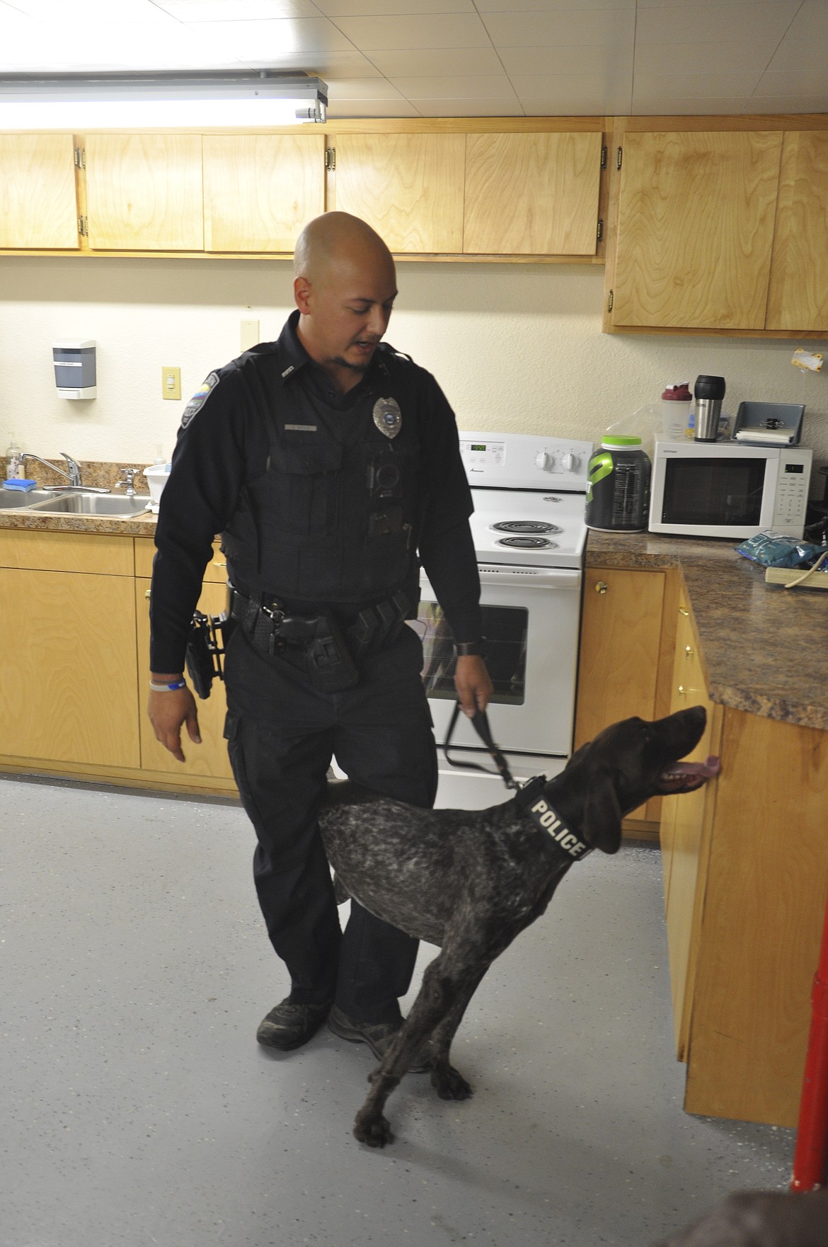 Polson Police K-9 Officer J&auml;ger sniffs around during a media demonstration last week. Officer Cody Doyle is the working dog&#146;s handler. (Ashley Fox/Lake County Leader)