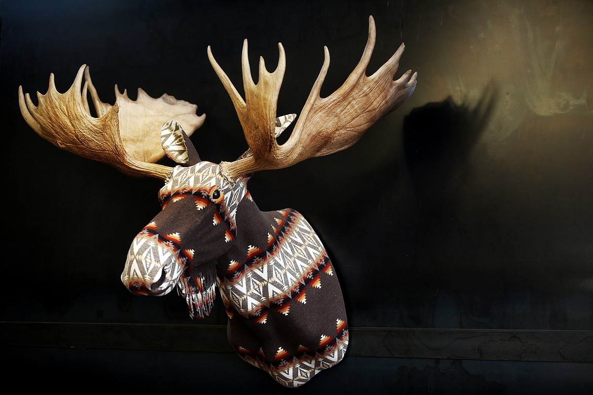 A 100% animal-friendly fake moose hangs over the fireplace at the HGTV Dream Home 2019 on Big Mountain in Whitefish, Montana.(Brenda Ahearn/Daily Inter Lake)