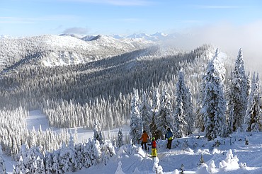 Skiers pause before their run down Black Bear on opening day at Whitefish Mountain Resort on Thursday. (Casey Kreider/Daily Inter Lake)