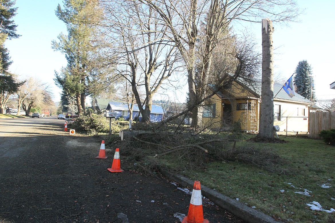 A roughly 100-foot, 70-year-old evergreen tree on Carla Jamele&#146;s property on the 1600 block of Coeur d&#146;Alene Avenue in Coeur d&#146;Alene came crashing down during the heavy winds Friday night, barely missing her neighbor&#146;s car and fence. No one was injured. &#147;A Christmas miracle, if you ask me,&#148; Jamele said. What&#146;s left of the tree can be seen here on the right.