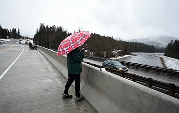 Midge Harkins of Martin City, stands on the new South Fork Bridge in Hungry Horse, watching traffic still crossing the old bridge before the ribbon cutting on Tuesday, December 18. Harkins said she had plenty of unpleasant memories of crossing the old bridge, including pulling a horse trailer across the narrow expanse. "Every time I would cross the bridge, I would instinctively bring my arms in close to my body," said Harkins. Looking at the new bridge, which is much wider and includes a bike/pedestrian lane,  Harkins smiled.
(Brenda Ahearn/Daily Inter Lake)