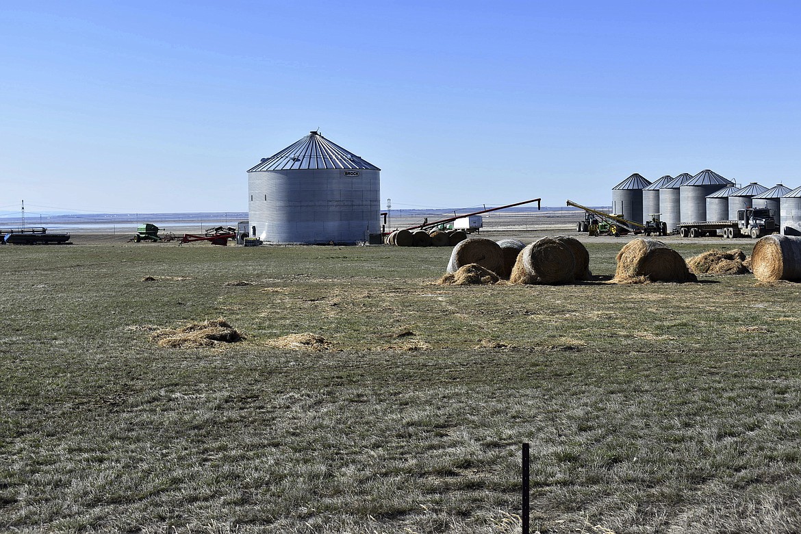 This April 20, 2018 photo shows grain silos at Erickson Farm in Broadview. (AP Photo/Matthew Brown)