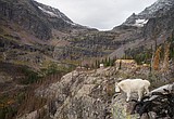 Park Service to host Sperry Chalet event in January