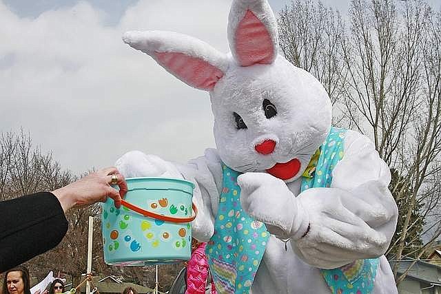 Kids young and old hunted for eggs the Old Paradise School in Paradise (now the Paradise Center) on Easter Sunday. Above, the Easter bunny draws a door prize winner during the event. (Photo courtesy of Jessica Peterson)