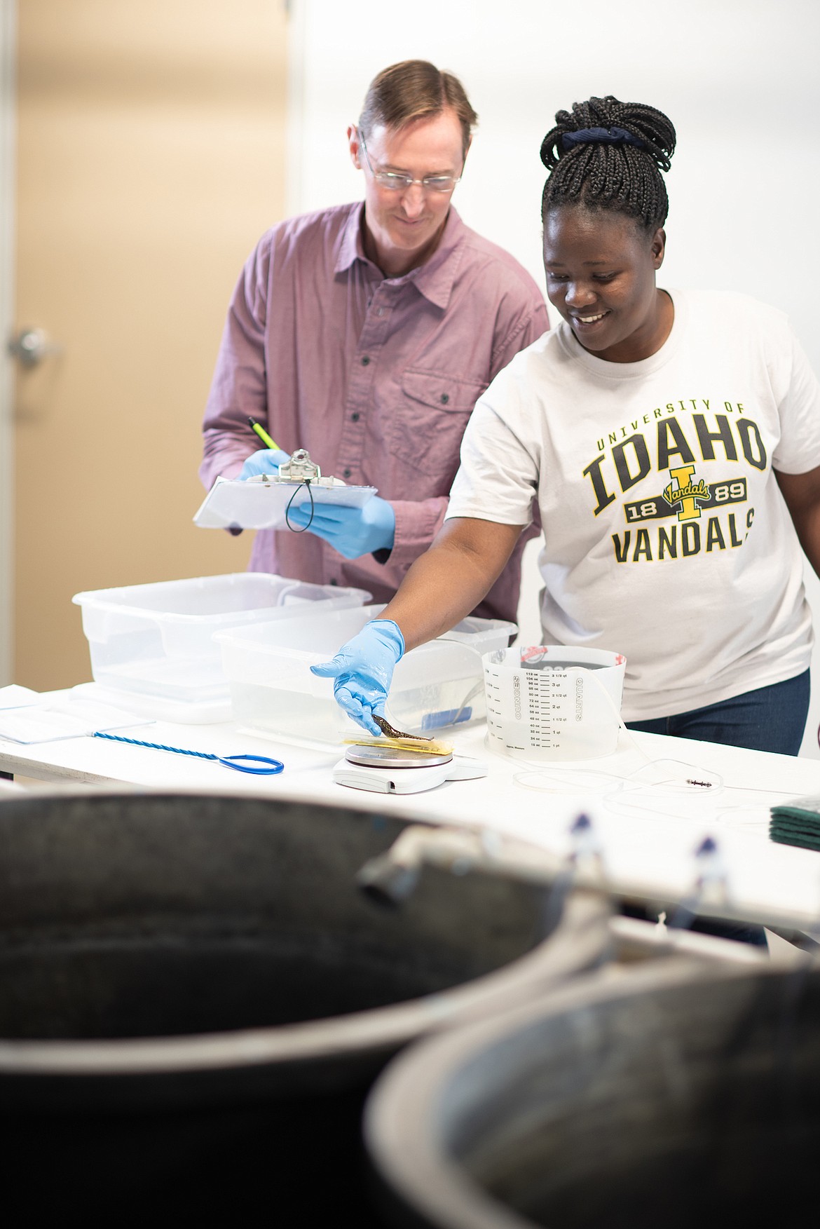 (Photo courtesy UNIVERSITY OF IDAHO)
University of Idaho graduate students Neil Ashton and Moureen Matuha measure a small burbot.