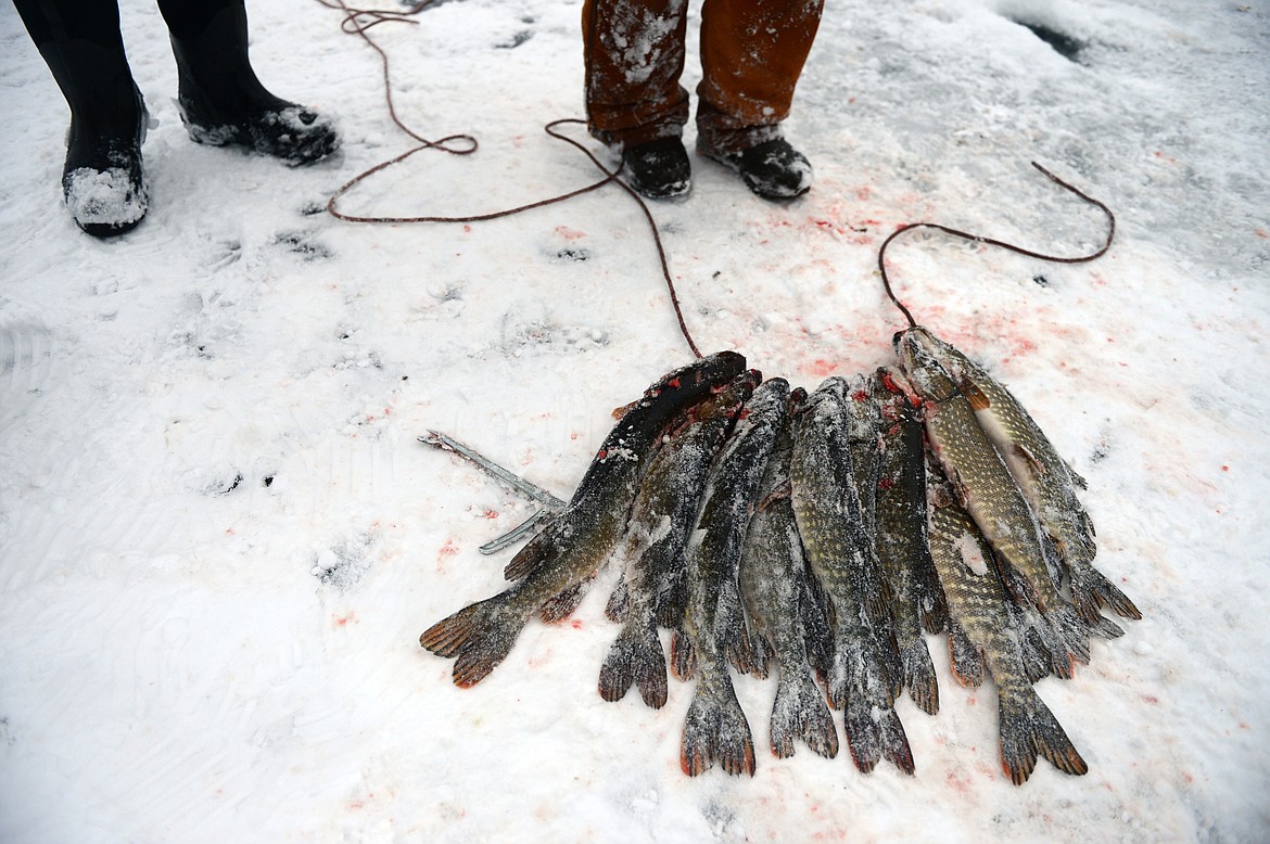 Kid's Ice Fishing Derby planned Feb 2 at Jimmy Smith Lake