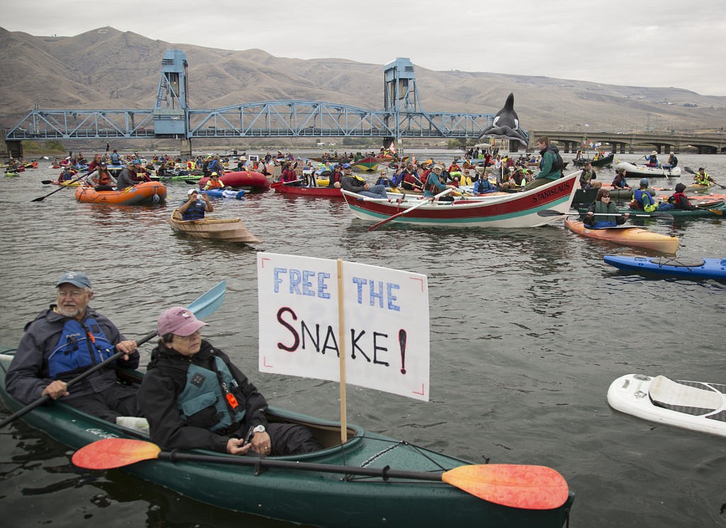 Photo courtesy of EARTHJUSTICE
Activists demonstrate near where Snake River and Clearwater join, demanding removal of four dams on the Lower Snake to rebuild stock of salmon and steel-head blocked from spawning by the dams.