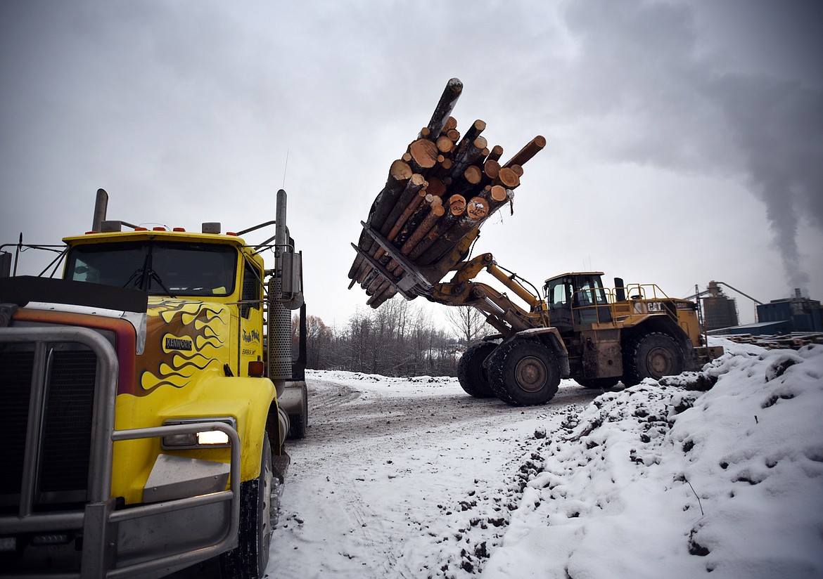 Delivery of logs gets unloaded at F.H. Stoltze Lumber Company in Columbia Falls on December 10.(Brenda Ahearn/Daily Inter Lake)