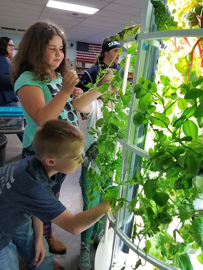 Photo by MANDI BATEMANMount Hall Elementary School brought in aeroponic vertical gardens to teach about science and healthy eating.