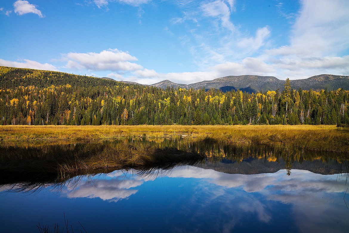 The addition to the Stillwater State Forest includes a mix of meadows, streams, small lakes and ponds and forest. The land is part of the Whitefish Lake Watershed Project. (Chris Peterson/Whitefish Pilot)