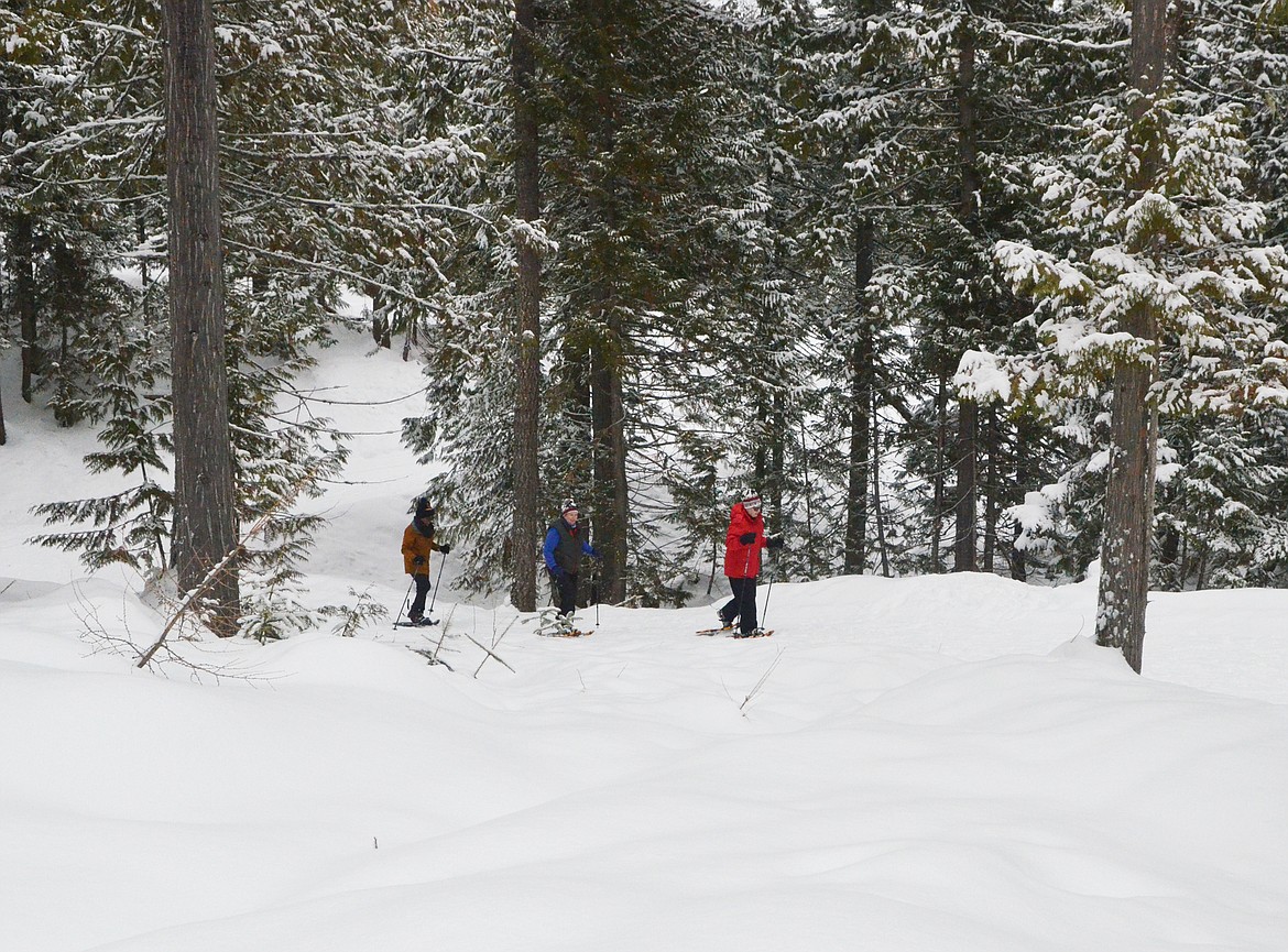 A trio of snowshoers return to the Big Mountain Trailhead on the Whitefish Trail at Lookout Ridge. (Heidi Desch/Whitefish Pilot)