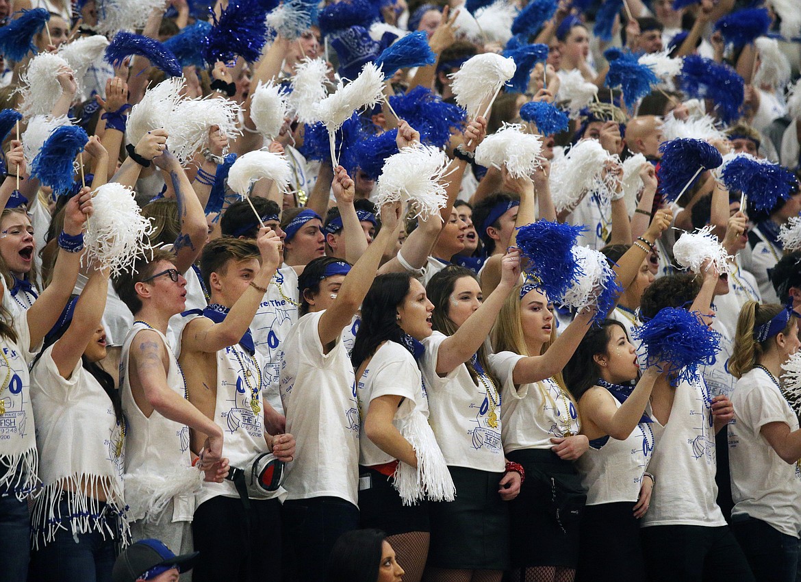 The Coeur d&#146;Alene High student section cheers during a timeout in Friday night&#146;s Fight for the Fish games against Lake City.