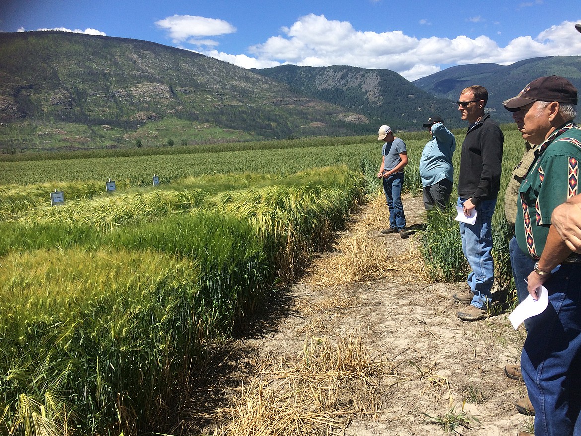 Courtesy photo
An interested crowd attends the 2018 Variety Trials Field Day and Farm Tour last June, 2018, at Houck Farms. The Idaho Wheat and Barley Commissions will discuss agriculture topics at the Thursday, Jan. 24, North Idaho Cereal School in Bonners Ferry.