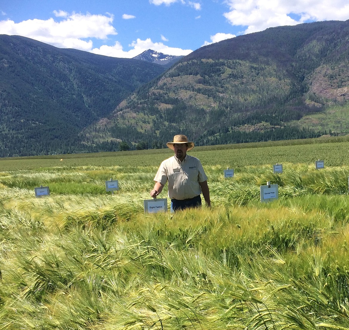 (Courtesy photo)
Kurt Schroeder, University of Idaho Cropping Systems Agronomist, describes the pros and cons of new varieties at the 2018 Variety Trials Field Day at Houck Farms in Bonners Ferry.