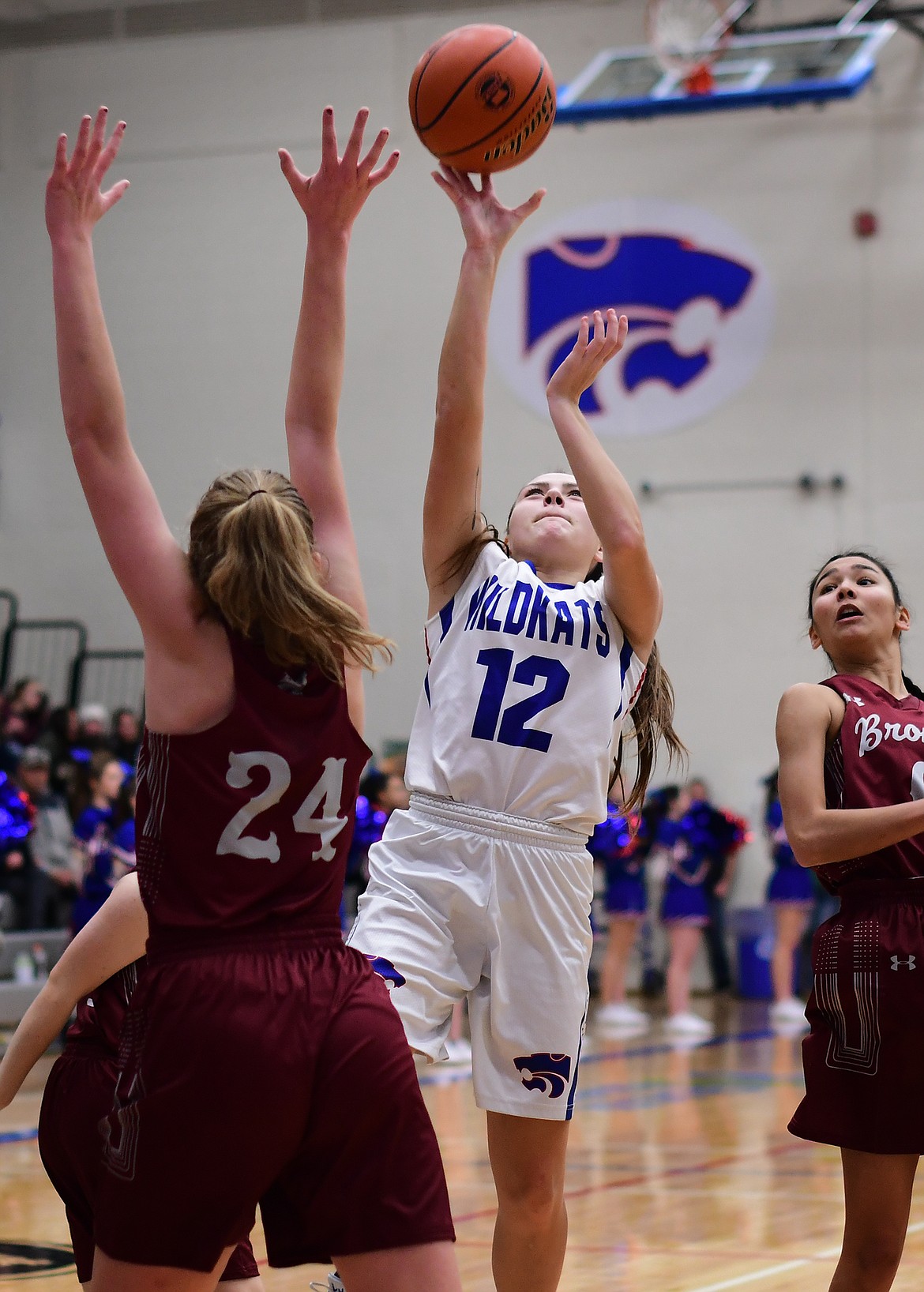 Wildkat LaKia Hill takes the ball up for a shot over Hamilton&#146;s Lauren Ryter in the second quarter Saturday. (Jeremy Weber photo)