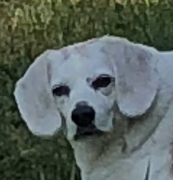 Jack
