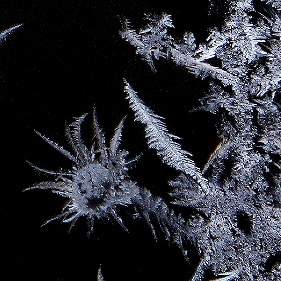 Frost forms ice crystals on a window, by Joan Budai