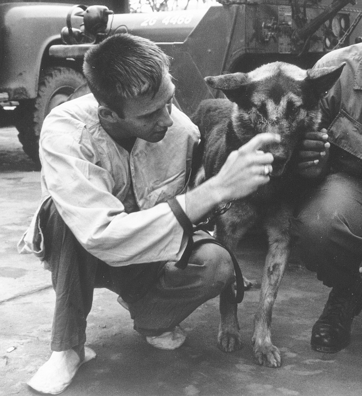 Photo courtesy of SECURITY FORCES MUSEUM
Airman 1st Class Robert A. Throneburg seeing his hero sentry dog Nemo for the first time after they were both wounded in Vietnam &#151; Nemo losing an eye but surviving, then returning to the U.S., going on a nationwide tour and retiring in a luxury kennel at Lackland AFB.