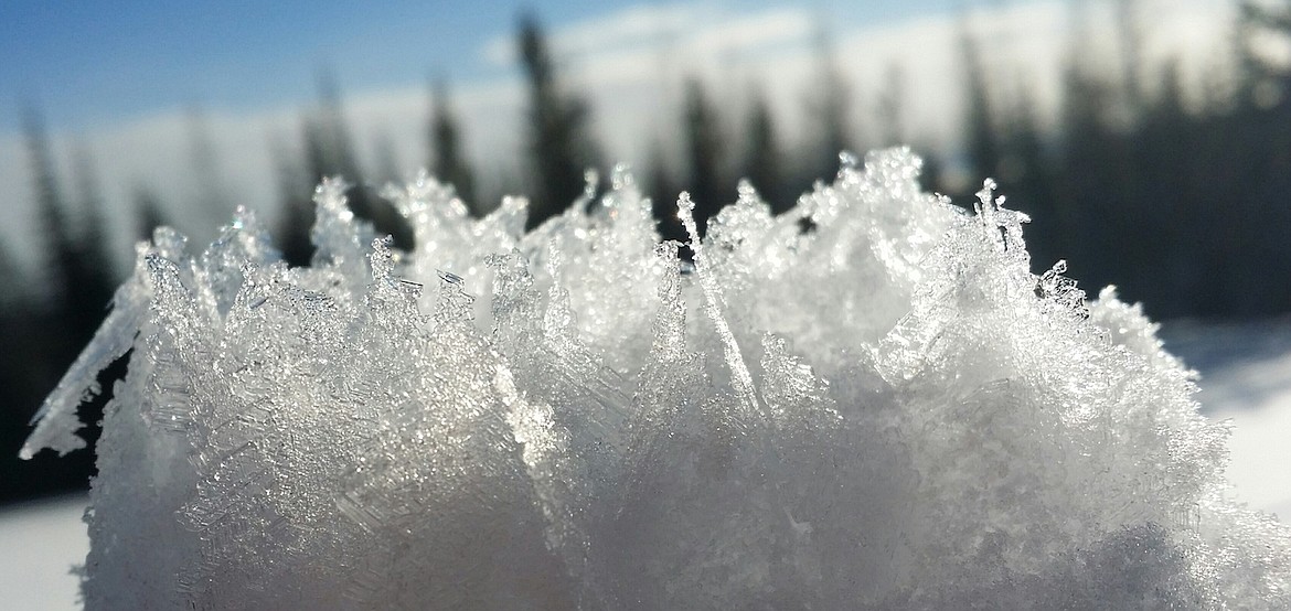 Surface hoar crystals measured up to an inch and a half at 6,000-foot elevations.

(Photo 
courtesy
IDAHO PANHANDLE AVALANCHE CENTER/
USFS)