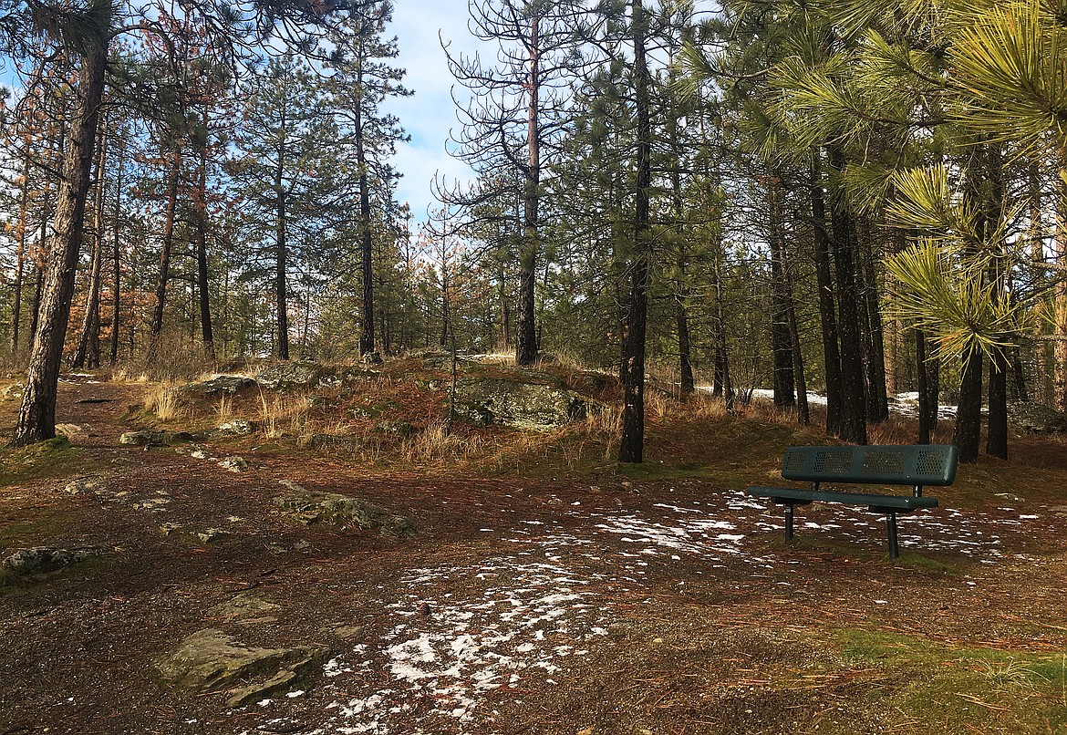 Adding more benches and improving the trails in Black Bay Park in Post Falls has been a desire of residents. Many also want the park's natural features to be preserved. (LOREN BENOIT/Press)