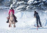 Skijoring in Whitefish this weekend