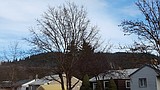 Making it a home in Coeur d'Alene's midtown