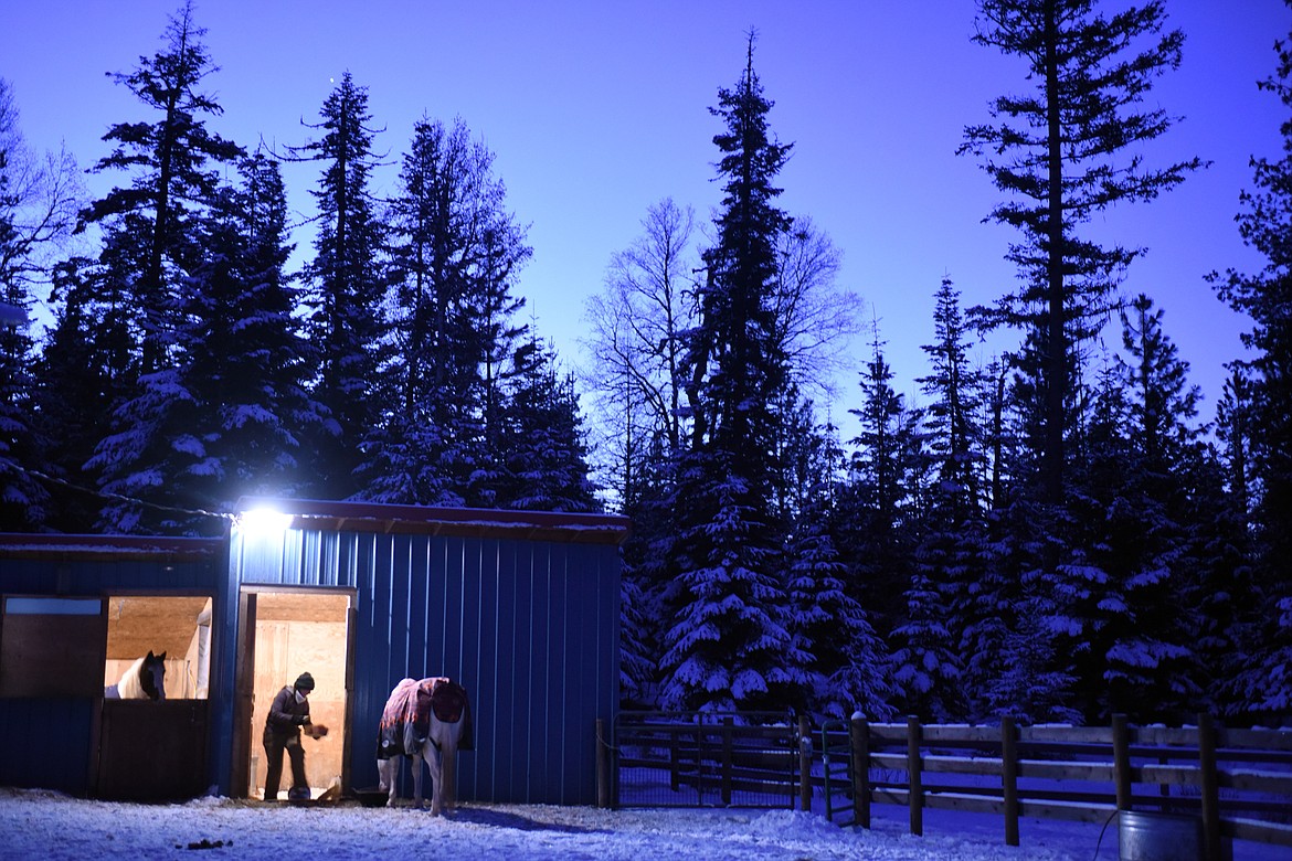 Johnna Hiatt feeds horses at Hiatt Equestrian Rescue and Recreation in Bigfork before sunrise on a recent morning. Hiatt said she receives offers from people interested in volunteering, but in most cases they do not end up following through. &#147;This is every day, early hours and late into the evenings, the horses need care every day and it&#146;s demanding work,&#148; Hiatt said. (Brenda Ahearn/Daily Inter Lake)