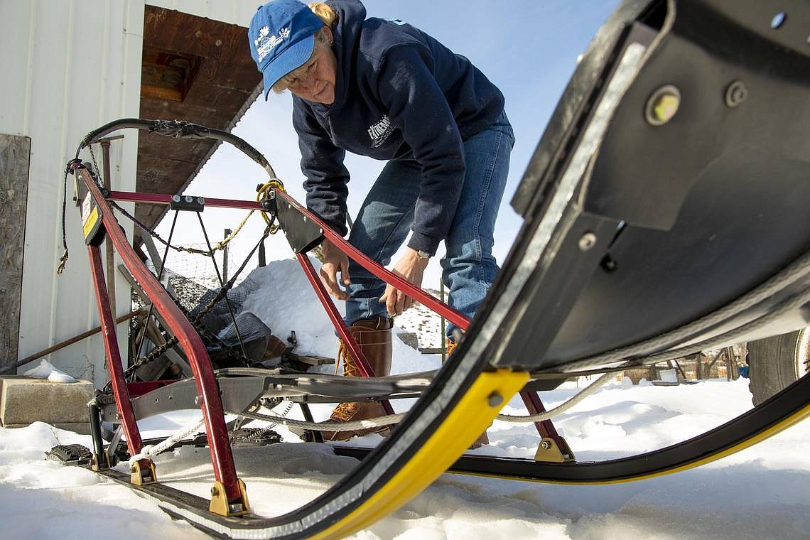 Laurie Warren, Council, looks over her dog sled just days before the Idaho Sled Dog Challenge where she and her team of dogs will mush 300 miles in the McCall area.
Photo by Darin Oswald