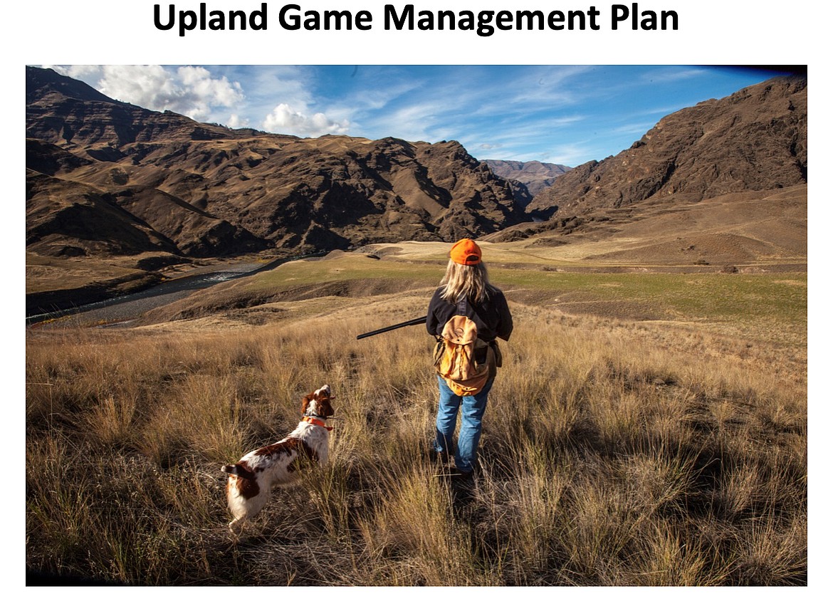 Photo courtesy of Idaho Fish and Game
Idaho Fish and Game is gathering public input on its latest draft upland hunting plan. The department plans to explore new methods to gather accurate game bird trend information as part of the plan.