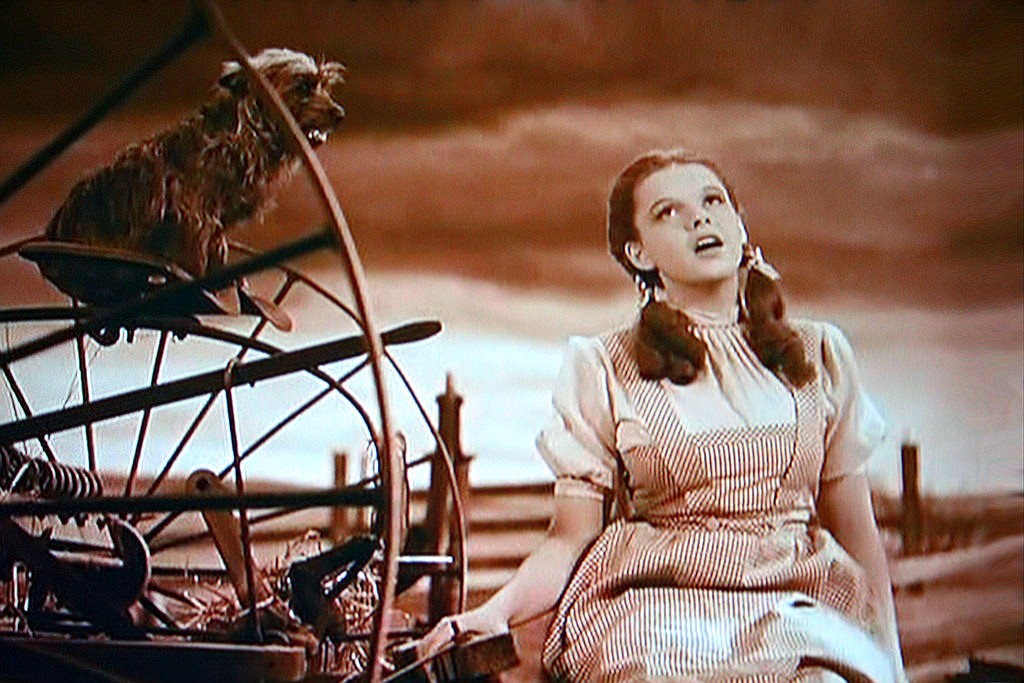 MGM
Toto with Judy Garland as Dorothy singing &#147;Somewhere Over the Rainbow&#148; in &#147;The Wizard of Oz.&#148;