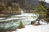 Blackburn gives advice on Kootenai River rainbows
