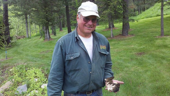 Larry Isenberg holds some morels found on the property, south of Coeur d&#146;Alene, where he and Lori lived. From a 2011 Facebook album named &#147;Isenberg Paradise.&#148;