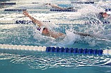 Cats swimmers earn fourth at state, girls fifth